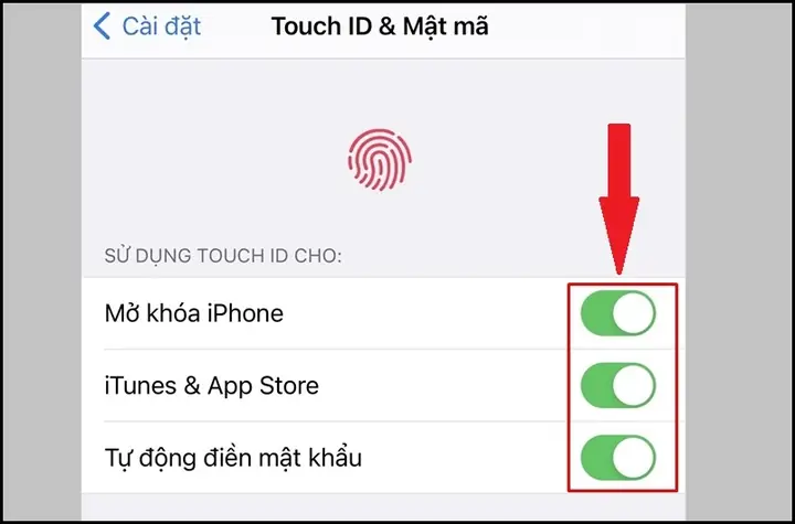 Hướng Dẫn Chi Tiết Cách Cài Đặt Vân Tay (touch ID) Cho Iphone