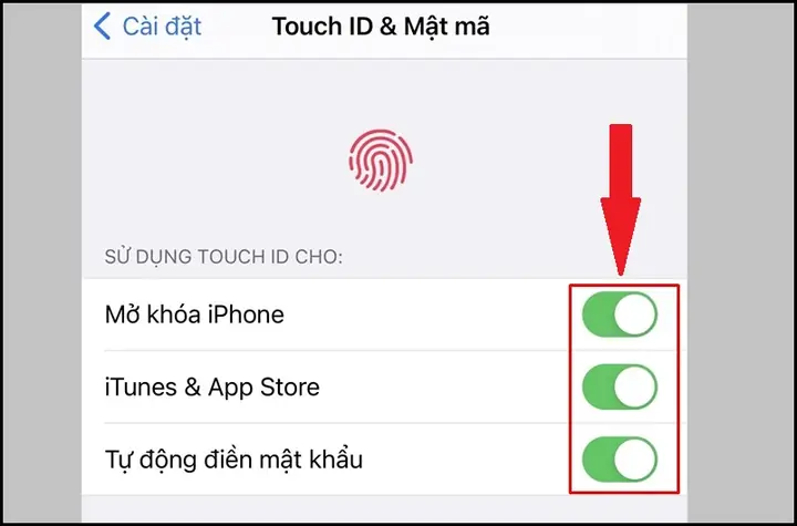 Hướng Dẫn Chi Tiết Cách Cài Đặt Vân Tay (touch ID) Cho Iphone