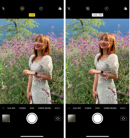 15 Mẹo Chụp Ảnh Đẹp Bằng Iphone: Bí Quyết Từ Chuyên Gia Để Có Bức Hình Ấn Tượng