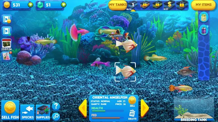 Top Game Nuôi Cá Trên Iphone: Hướng Dẫn Chọn Lọc & Chơi Hay Nhất