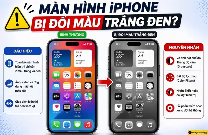 Iphone Bị Chuyển Màu Trắng Đen: Nguyên Nhân Và 7+ Cách Khắc Phục Nhanh Chóng