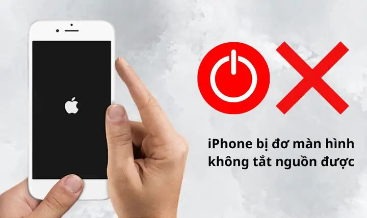 Iphone Bị Đơ Màn Hình: Nguyên Nhân, Dấu Hiệu & Cách Khắc Phục Hiệu Quả Tại Nhà