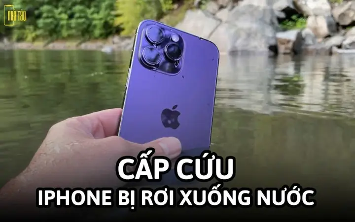 Iphone Bị Rớt Xuống Nước Phải Làm Sao? Cách Xử Lý & Cứu Máy Hiệu Quả Iphone Bị Rớt Xuống Nước Phải Làm Sao? Cách Xử Lý & Cứu Máy Hiệu Quả
